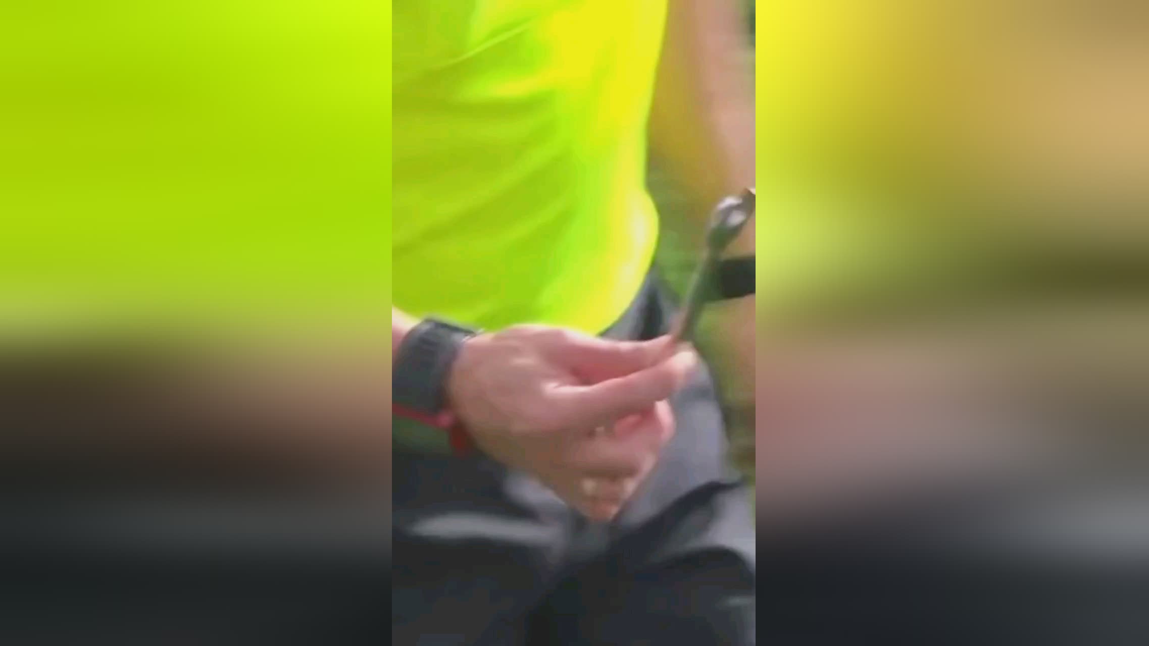 赛季
